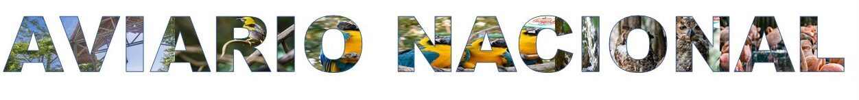 aviario nacional special moments agency-gourmet