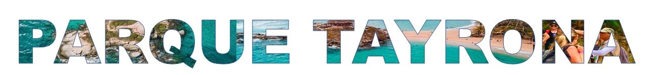TAYRONA T